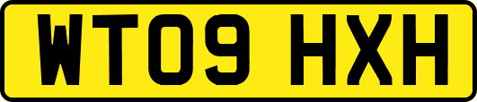 WT09HXH