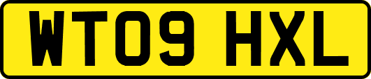 WT09HXL