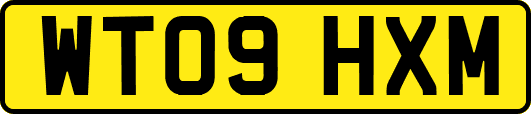 WT09HXM