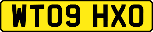 WT09HXO