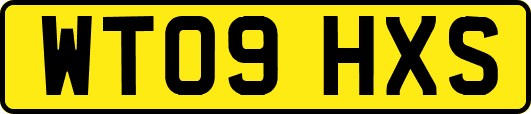 WT09HXS
