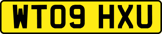 WT09HXU