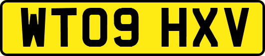 WT09HXV