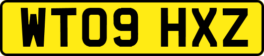 WT09HXZ