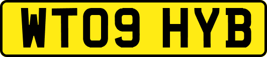 WT09HYB