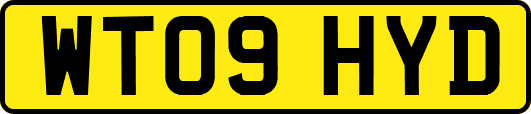 WT09HYD