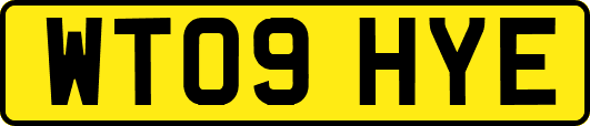 WT09HYE