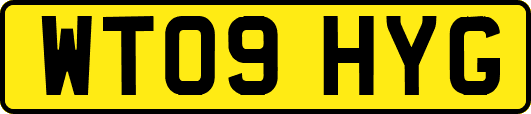 WT09HYG