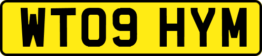 WT09HYM