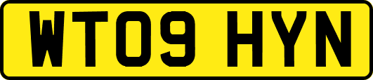 WT09HYN