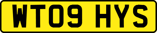 WT09HYS