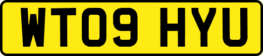 WT09HYU