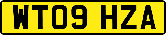 WT09HZA