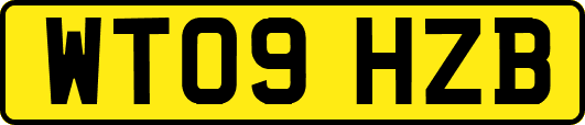 WT09HZB