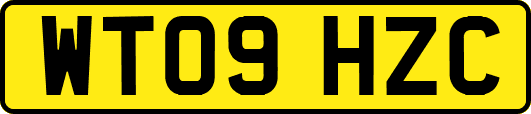 WT09HZC