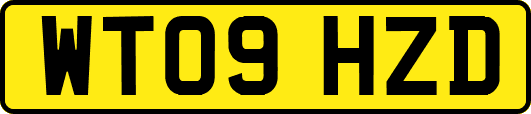 WT09HZD