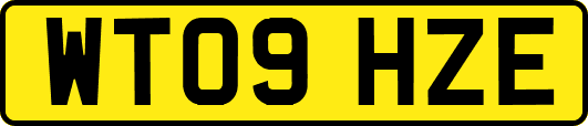 WT09HZE