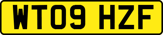 WT09HZF