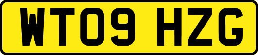 WT09HZG