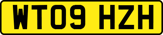 WT09HZH