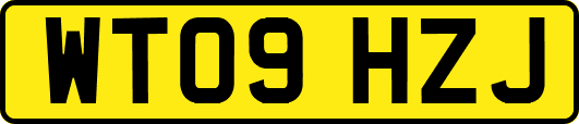 WT09HZJ