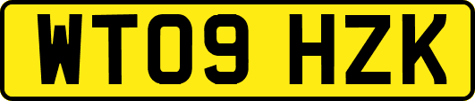 WT09HZK