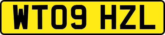 WT09HZL