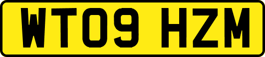 WT09HZM