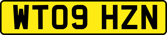 WT09HZN