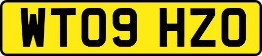 WT09HZO