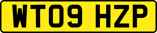 WT09HZP