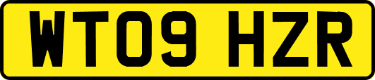 WT09HZR