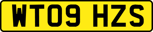 WT09HZS