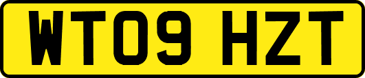 WT09HZT