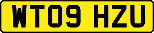 WT09HZU