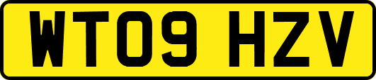 WT09HZV
