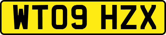 WT09HZX