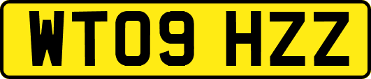 WT09HZZ