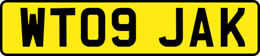 WT09JAK