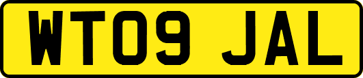WT09JAL