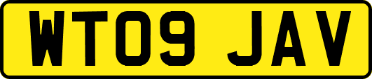 WT09JAV