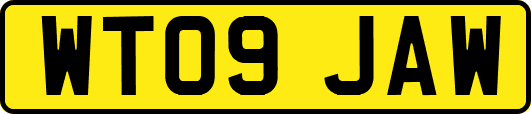 WT09JAW