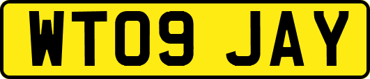 WT09JAY