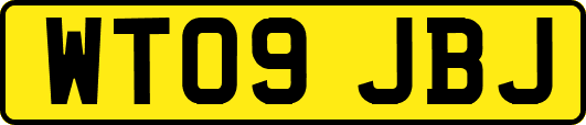 WT09JBJ