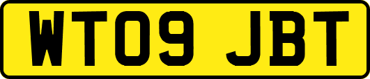WT09JBT