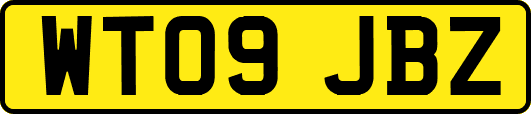 WT09JBZ