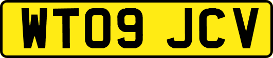 WT09JCV