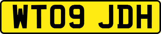 WT09JDH