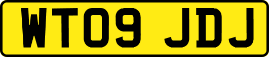 WT09JDJ