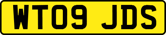 WT09JDS